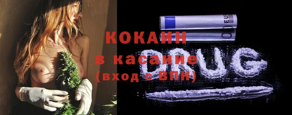индика Алексин