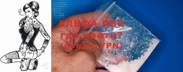 индика Алексин