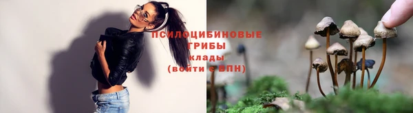гидропоника Армянск