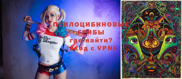 apvp Алзамай