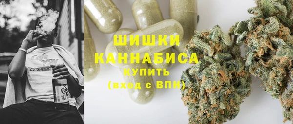индика Аркадак