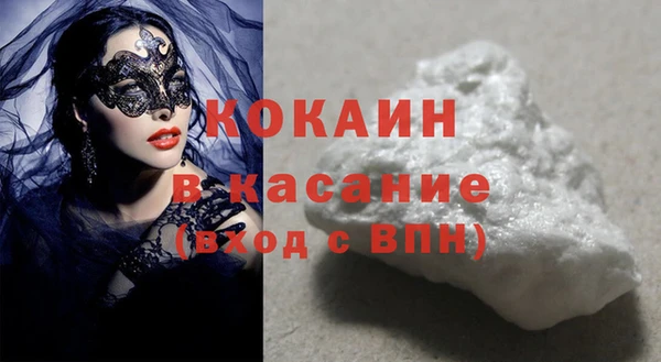 индика Алексин