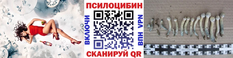 купить наркотик  Спас-Деменск  Псилоцибиновые грибы Cubensis 